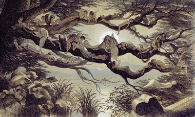 Asleep in the Moonlight by Richard Doyle